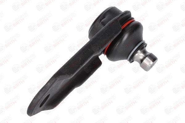 Šarnyras / girgždukas BIRTH CX3208