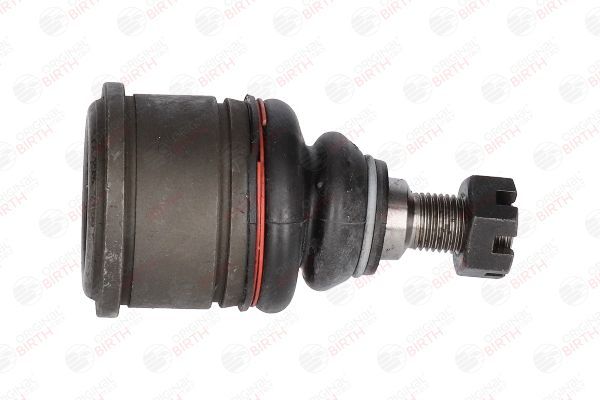 Šarnyras / girgždukas BIRTH CX3350