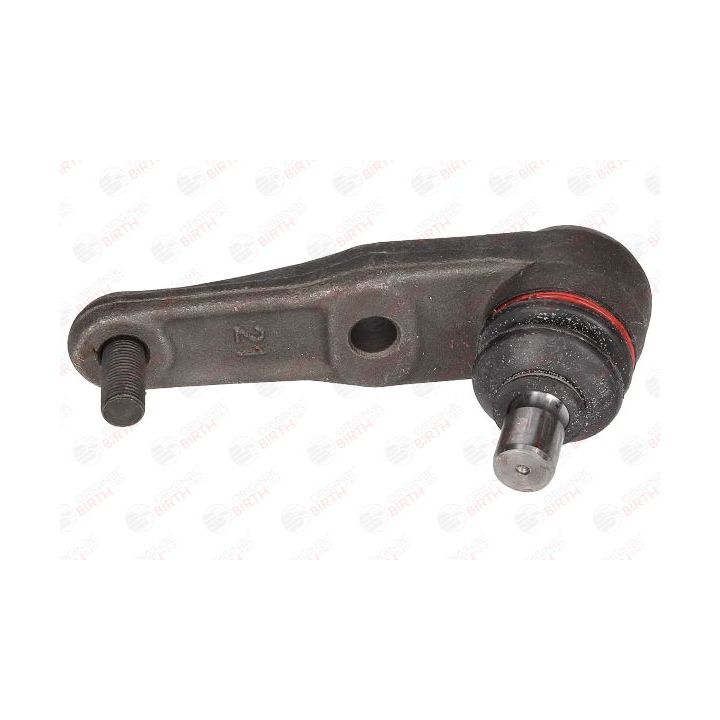 Šarnyras / girgždukas BIRTH CX3398