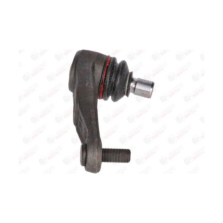 Šarnyras / girgždukas BIRTH CX3398