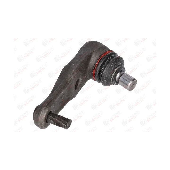 Šarnyras / girgždukas BIRTH CX3398