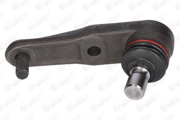 Šarnyras / girgždukas BIRTH CX3399