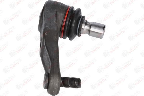 Šarnyras / girgždukas BIRTH CX3399