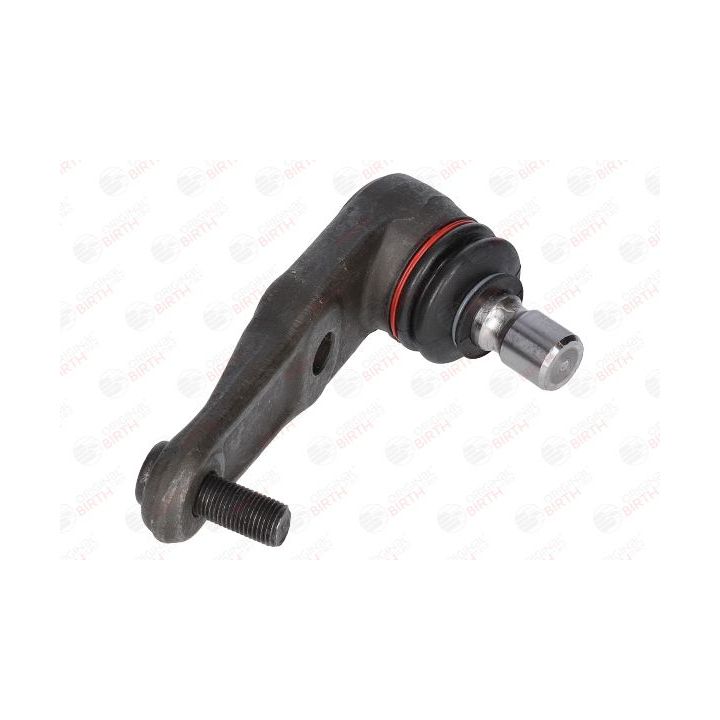 Šarnyras / girgždukas BIRTH CX3399