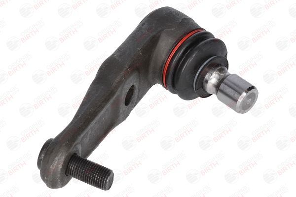 Šarnyras / girgždukas BIRTH CX3399