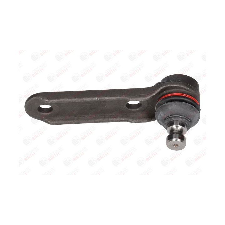 Šarnyras / girgždukas BIRTH CX4612