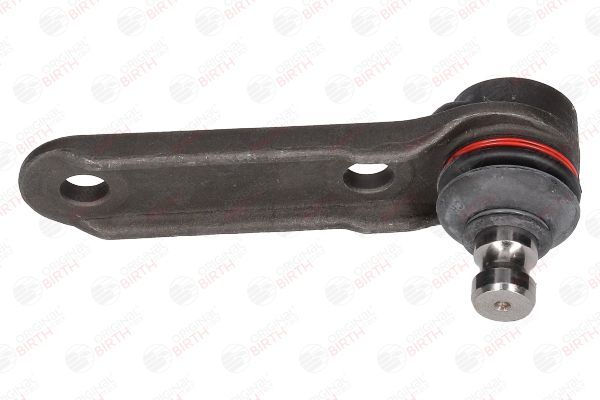 Šarnyras / girgždukas BIRTH CX4612