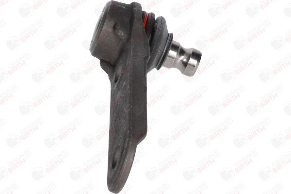 Šarnyras / girgždukas BIRTH CX4612