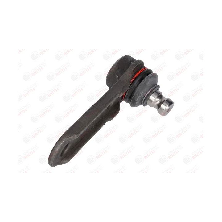 Šarnyras / girgždukas BIRTH CX4612