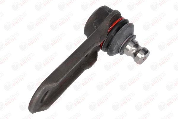 Šarnyras / girgždukas BIRTH CX4612