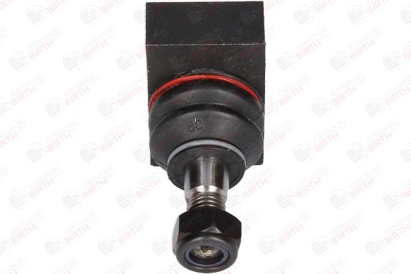 Šarnyras / girgždukas BIRTH CX9203