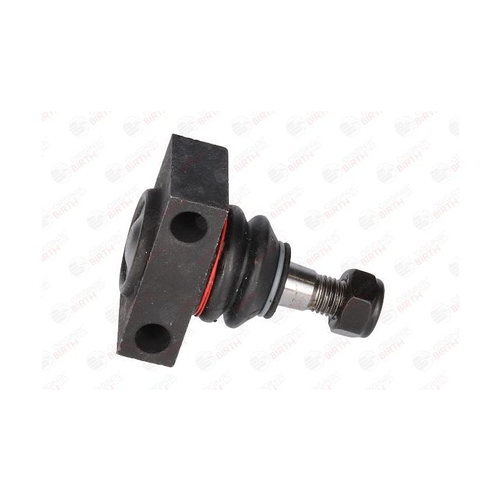 Šarnyras / girgždukas BIRTH CX9203