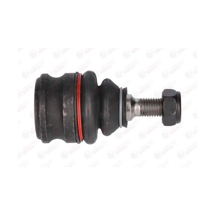 Šarnyras / girgždukas BIRTH CX9204