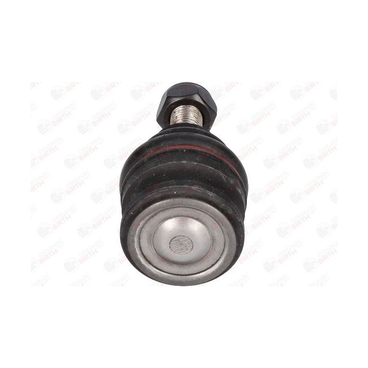 Šarnyras / girgždukas BIRTH CX9204