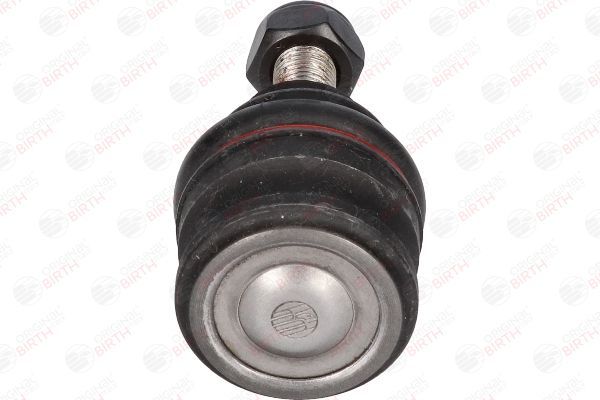 Šarnyras / girgždukas BIRTH CX9204