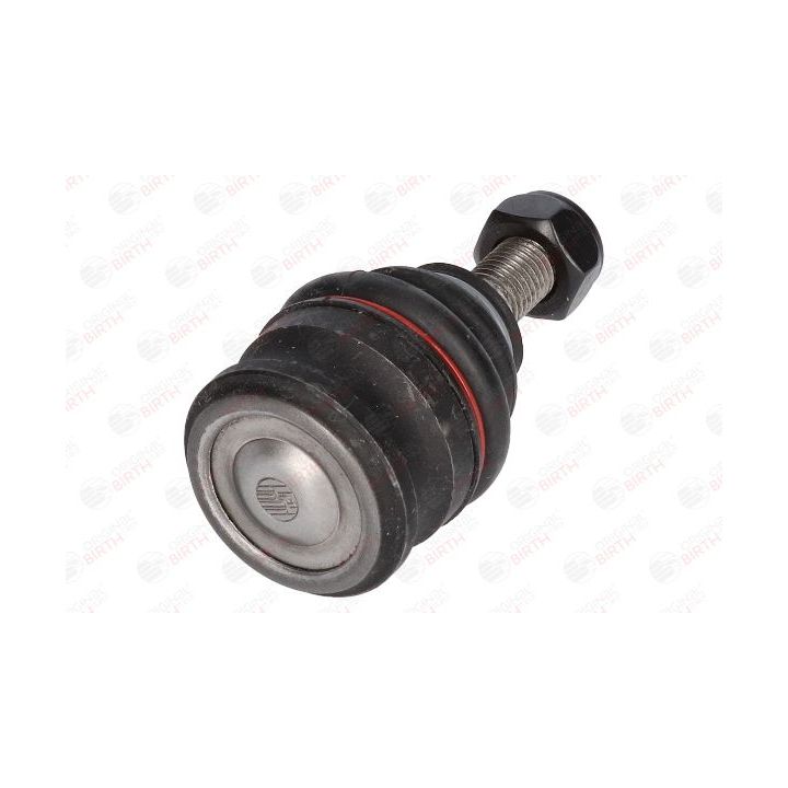 Šarnyras / girgždukas BIRTH CX9204