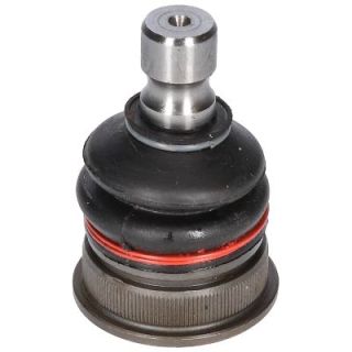 Šarnyras / girgždukas BIRTH CX9216