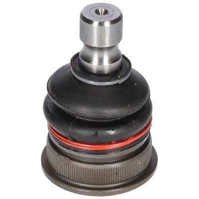 Šarnyras / girgždukas BIRTH CX9216