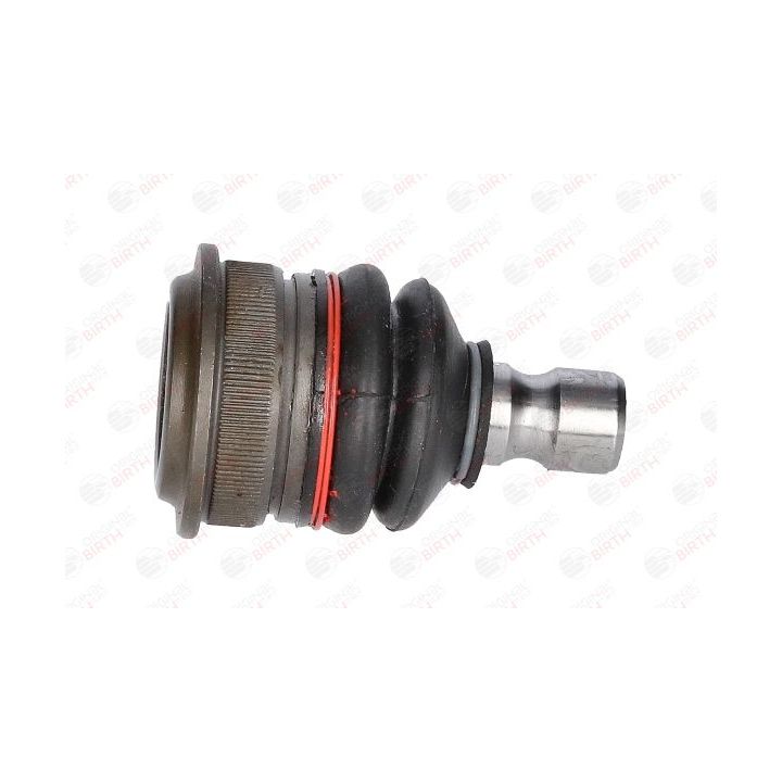 Šarnyras / girgždukas BIRTH CX9216