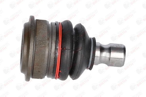 Šarnyras / girgždukas BIRTH CX9216