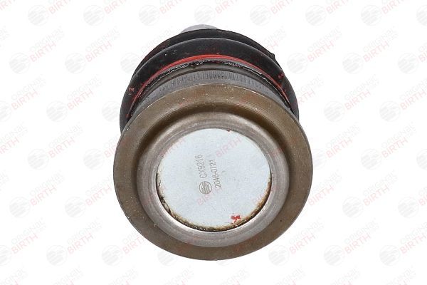 Šarnyras / girgždukas BIRTH CX9216