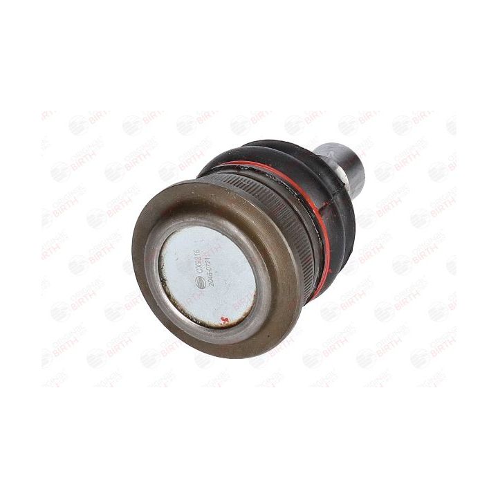 Šarnyras / girgždukas BIRTH CX9216