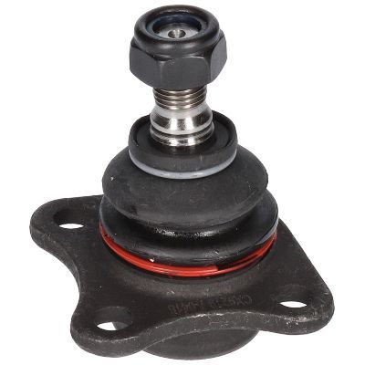 Šarnyras / girgždukas BIRTH CX9219