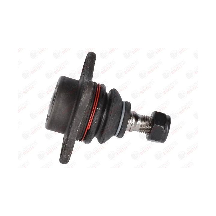 Šarnyras / girgždukas BIRTH CX9219