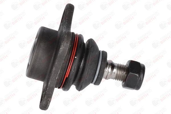 Šarnyras / girgždukas BIRTH CX9219