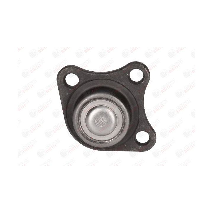 Šarnyras / girgždukas BIRTH CX9219