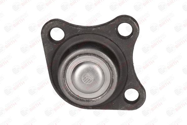 Šarnyras / girgždukas BIRTH CX9219