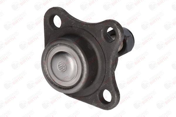 Šarnyras / girgždukas BIRTH CX9219