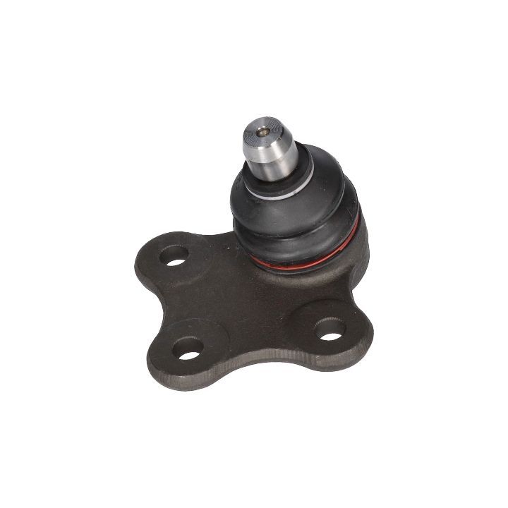 Šarnyras / girgždukas BIRTH CX9222