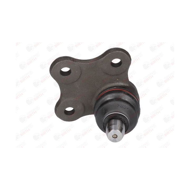 Šarnyras / girgždukas BIRTH CX9222