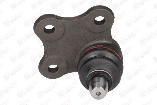 Šarnyras / girgždukas BIRTH CX9222