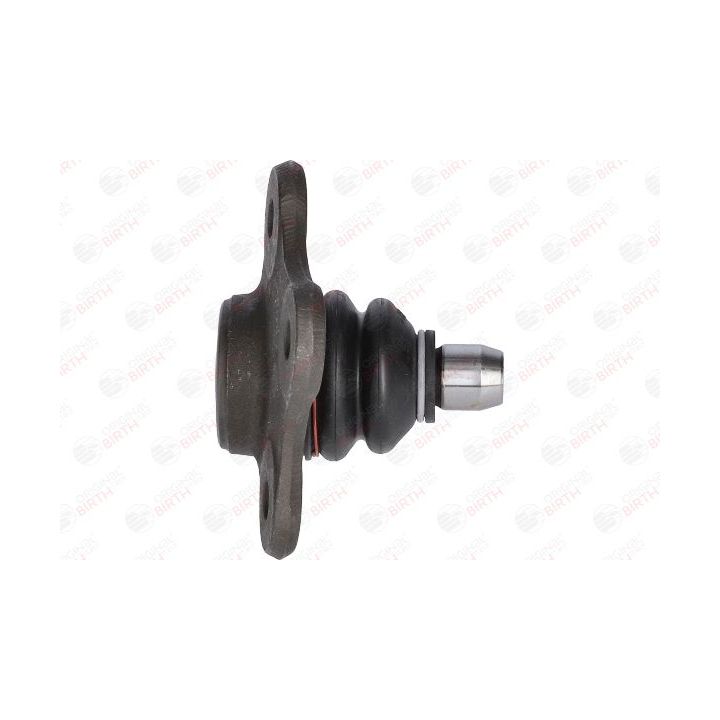 Šarnyras / girgždukas BIRTH CX9222