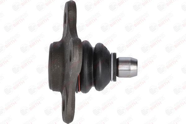 Šarnyras / girgždukas BIRTH CX9222