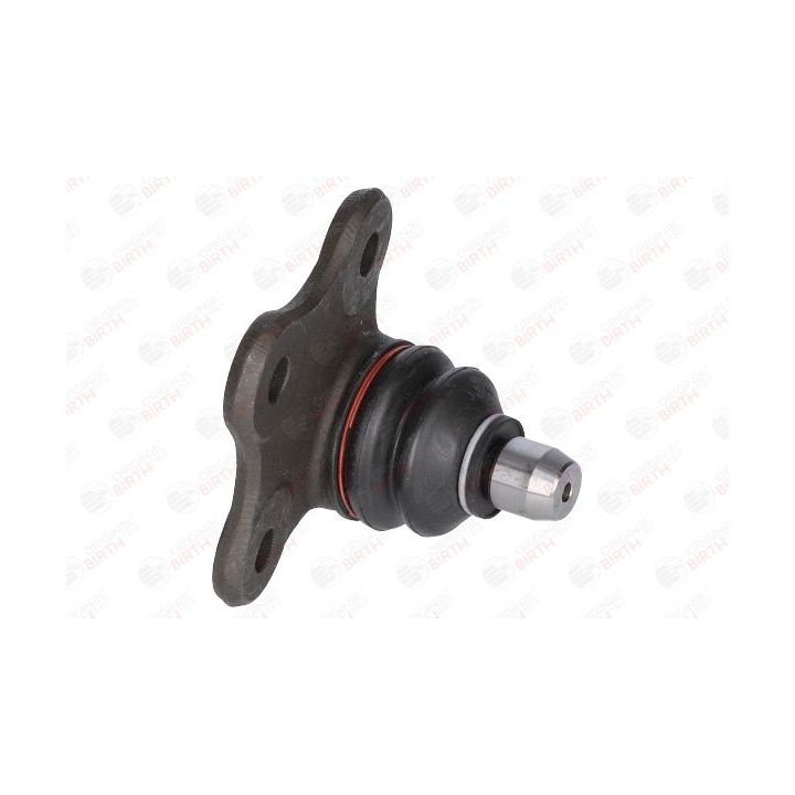 Šarnyras / girgždukas BIRTH CX9222