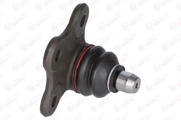 Šarnyras / girgždukas BIRTH CX9222