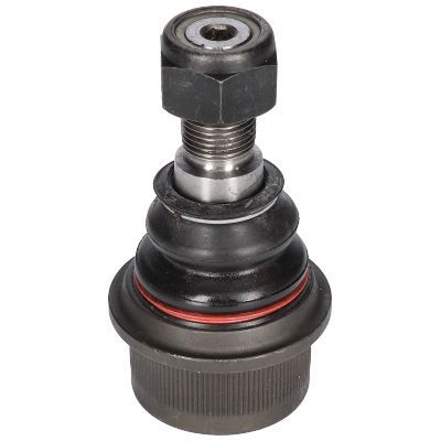 Šarnyras / girgždukas BIRTH CX9230