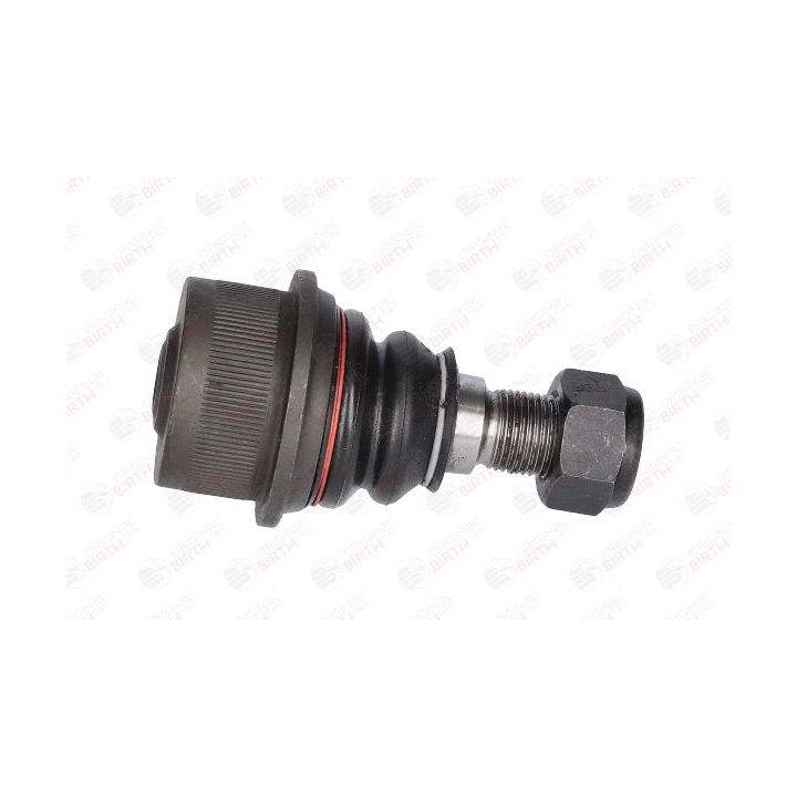 Šarnyras / girgždukas BIRTH CX9230