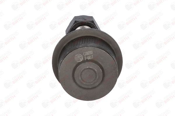 Šarnyras / girgždukas BIRTH CX9230