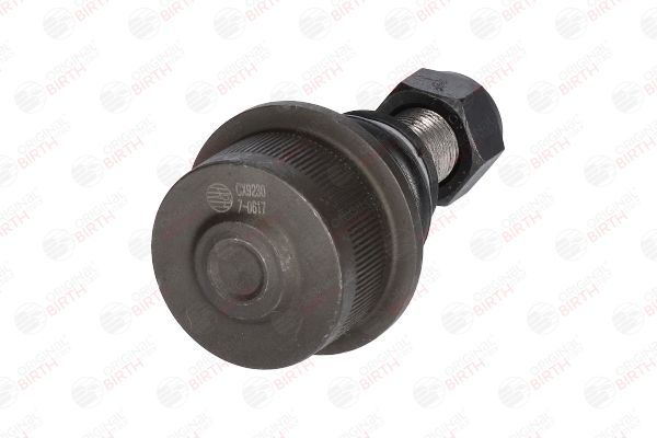 Šarnyras / girgždukas BIRTH CX9230