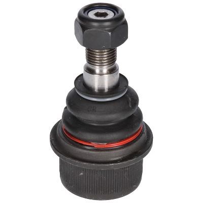 Šarnyras / girgždukas BIRTH CX9235