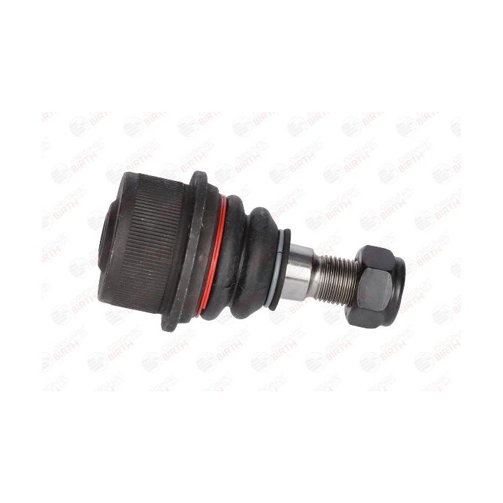 Šarnyras / girgždukas BIRTH CX9235