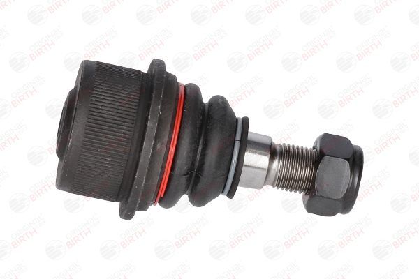 Šarnyras / girgždukas BIRTH CX9235