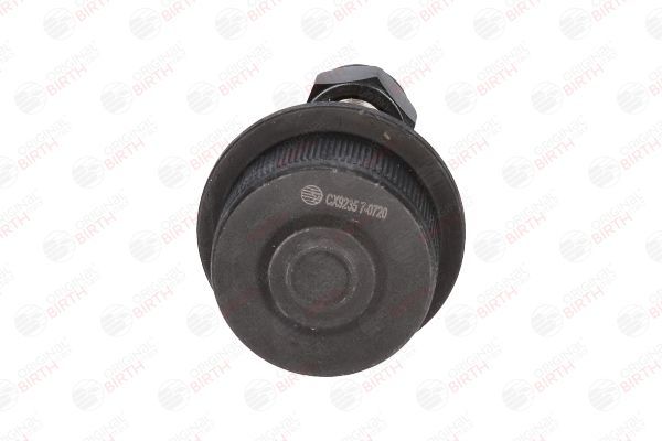 Šarnyras / girgždukas BIRTH CX9235