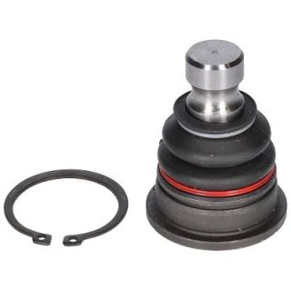 Šarnyras / girgždukas BIRTH CX9241