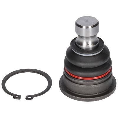 Šarnyras / girgždukas BIRTH CX9241