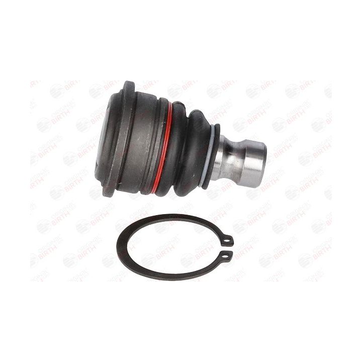 Šarnyras / girgždukas BIRTH CX9241